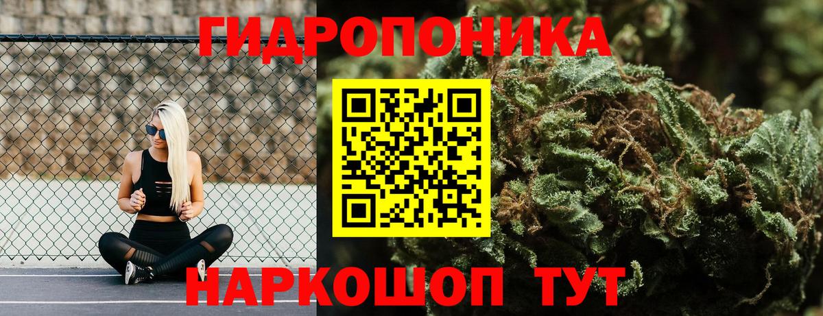 Шишки марихуана Amnesia Кулебаки